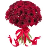 Герберы красные